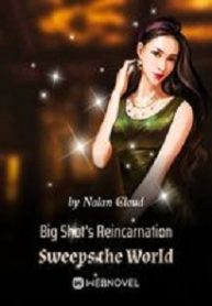 Cover Big Shot’s Reincarnation Sweeps the World