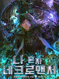 Cover Only I Am a Necromancer