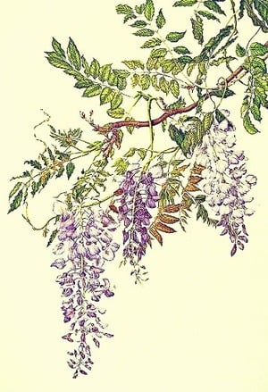 Cover Aloof King and Cool (Acting) Queen