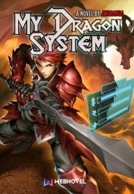 Cover My Dragon System