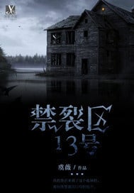 Cover Split Zone No.13