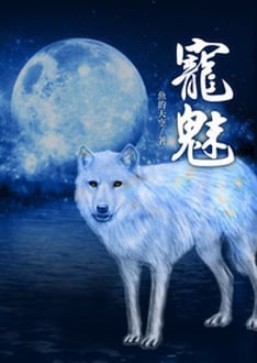 Cover The Charm of Soul Pets