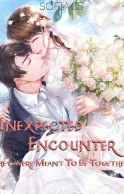 Cover Unexpected Encounter: They Were Meant To Be Together